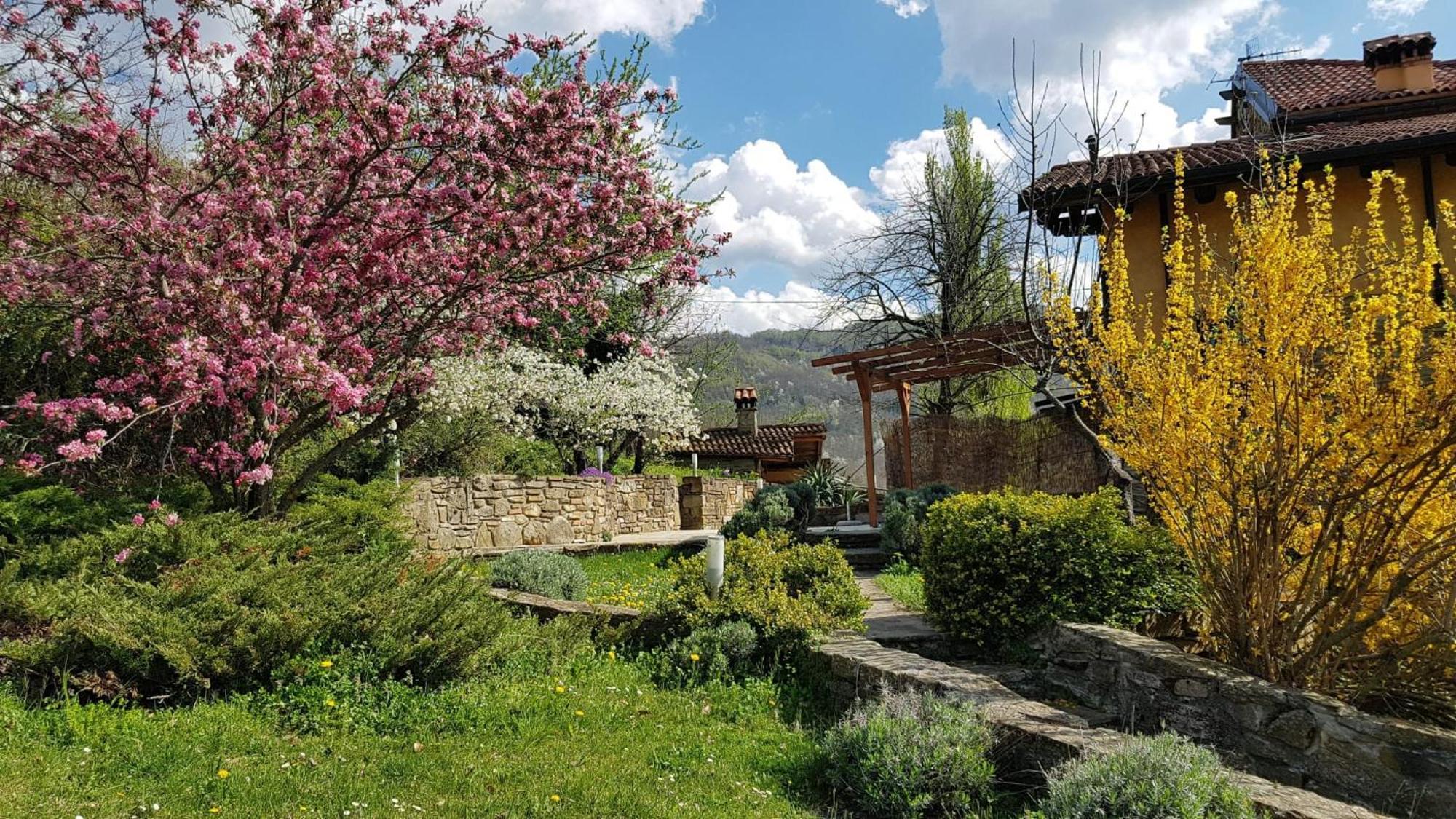 Agriturismo Fattoria Ca Di Sole San Benedetto Val di Sambro エクステリア 写真